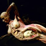 real-bodies-milano-piu-sociale