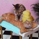 massaggio_gatti