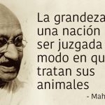violenza4