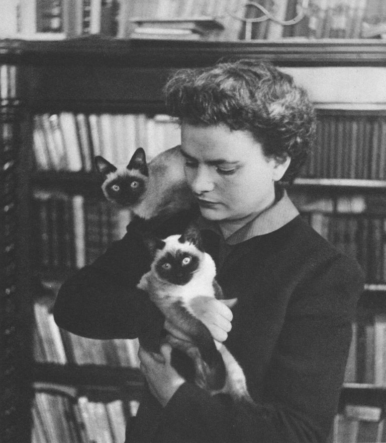 La Storia, Elsa Morante. La Storia, Elsa Morante.