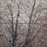 IMG-20230109-WA0001